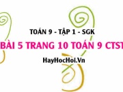 Bài 5 trang 10 Toán 9 tập 1 Chân trời sáng tạo SGK
